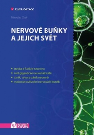 NERVOV&Eacute; BUŇKY A JEJICH SVĚT