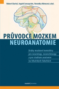 Průvodce mozkem, neuroanatomie