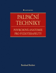 Palpačn&iacute; techniky, Povrchov&aacute; anatomie pro fyzioterapeuty